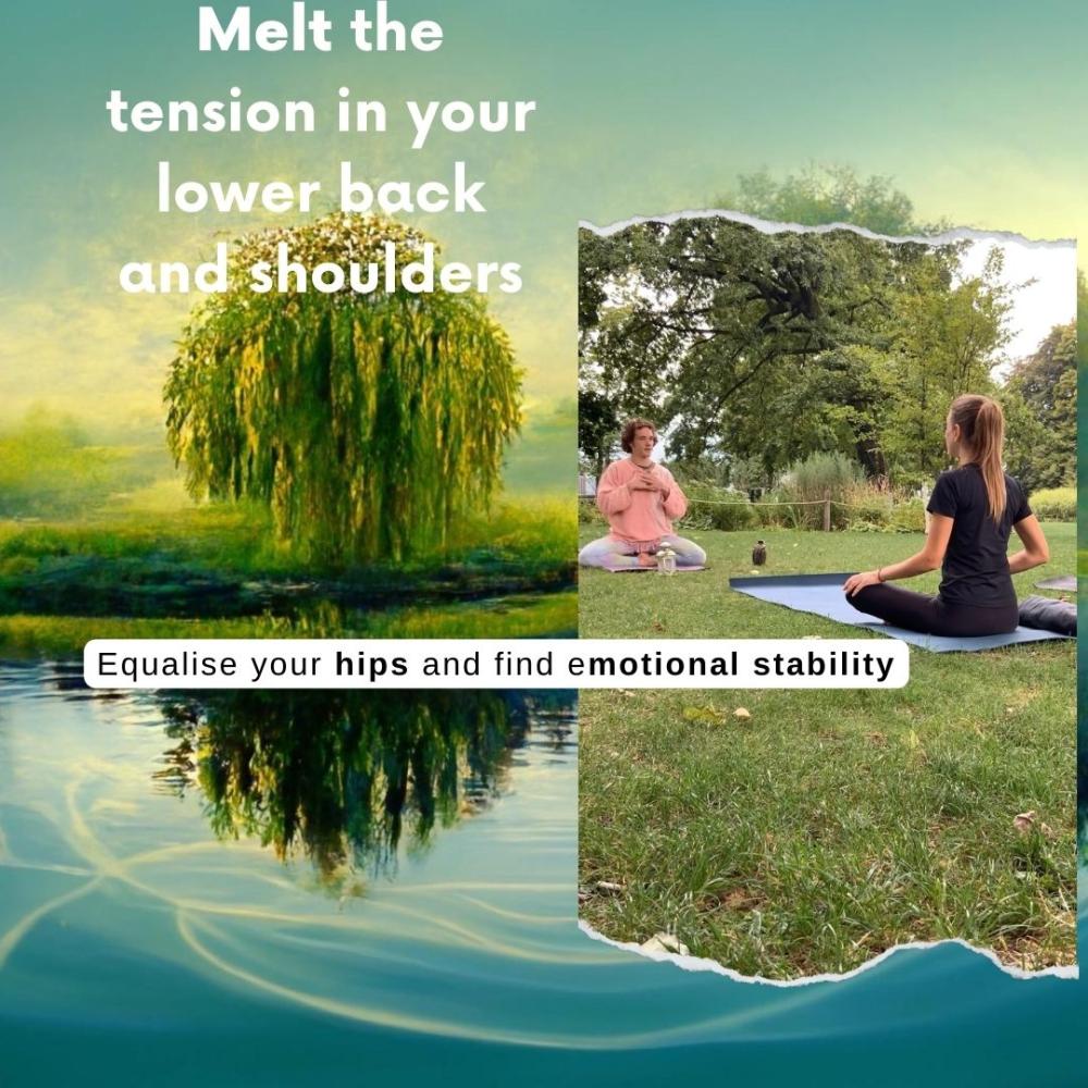 marin yoga
